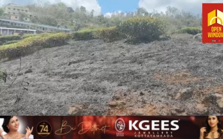 വണ്ടിപ്പെരിയാർ ഗവൺമെന്റ് യു പി സ്കൂളിന് സമീപം  പോബ്സ് എസ്റ്റേറ്റിന്റെ ഒരേക്കറോളം സ്ഥലം സാമൂഹ്യവിരുദ്ധർ തീയിട്ടു നശിപ്പിച്ചതായി പരാതി