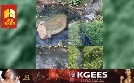 ലോകജലദിനത്തിൽ മാലിന്യവാഹിനിയായി ഒഴുകുകയാണ് കട്ടപ്പനയാർ