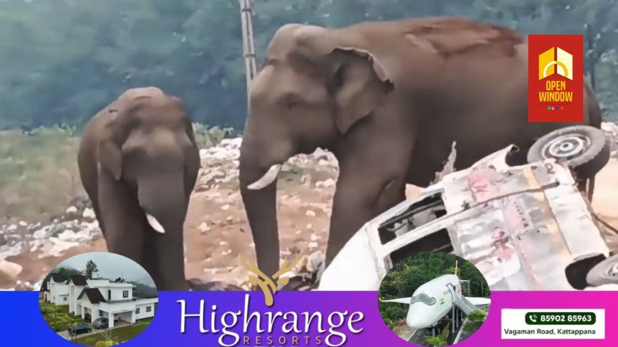 മൂന്നാറിൽ പരിക്കേറ്റ കാട്ടാനയ്ക്ക് ചികിത്സ നൽകണമെന്ന ആവശ്യവുമായി
മൃഗസ്നേഹികളുടെ സംഘടന ഹൈക്കോടതിയെ സമീപിച്ചു
