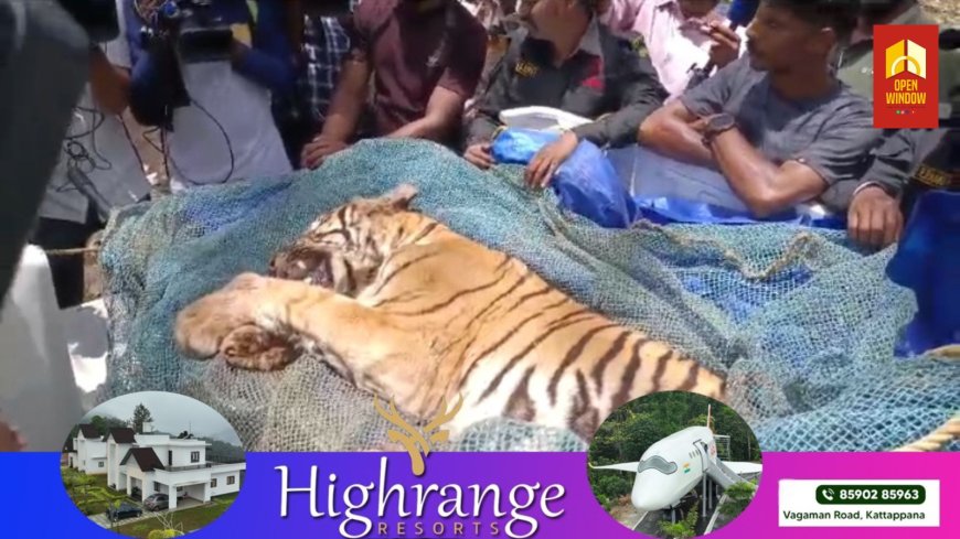 വണ്ടിപ്പെരിയാറിന് സമീപം അരണക്കല്ലിൽ വെടിയേറ്റ് ചത്ത കുടുവയുടെ പോസ്റ്റ് മോർട്ടം നടപടികൾ പൂർത്തിയായി