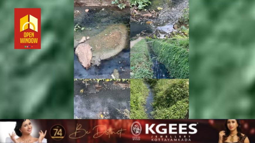 ലോകജലദിനത്തിൽ മാലിന്യവാഹിനിയായി ഒഴുകുകയാണ് കട്ടപ്പനയാർ