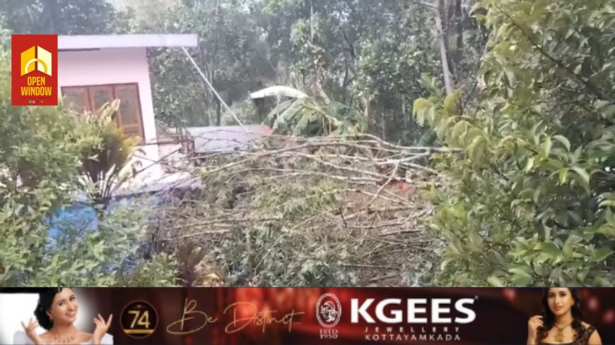 വേനൽമഴയെ തുടർന്നുണ്ടായ കൊടുങ്കാറ്റിൽ രാജാക്കാട് പഞ്ചായത്തിലെ പന്നിയാർകൂട്ടിയിൽ വ്യാപക നാശനഷ്ടം