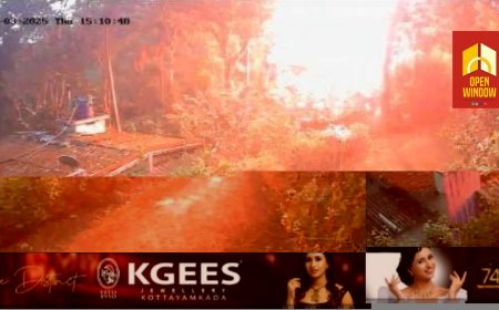 കട്ടപ്പന ഇരുപതേക്കർ പ്ലാമൂടന് സമീപം ഇടിമിന്നലേറ്റ് മരത്തിന് തീപിടിച്ചു