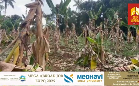 വേനൽ മഴയിൽ കാഞ്ചിയാറിൽ വൻകൃഷിനാശം