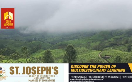 വേനൽ മഴ ഇടുക്കിക്ക് സമ്മാനിച്ചത് കടുത്ത ചൂടിൽ നിന്ന് ശമനം മാത്രമല്ല, മഞ്ഞിൻ കാഴ്ചകൾ കൂടിയാണ്