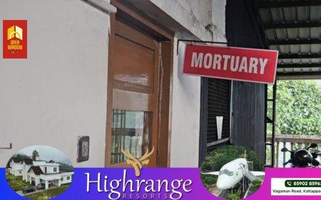 അടിമാലി പീച്ചാടിന് സമീപം സ്വകാര്യ ഏലത്തോട്ടത്തിൽ മരം വീണ് ഒരാൾക്ക് ദാരുണാന്ത്യം