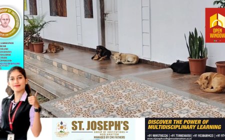 ഇരുചക്ര കാൽനട യാത്രികർക്ക് ഭീഷണിയായി തെരുവ് നായ്ക്കൾ