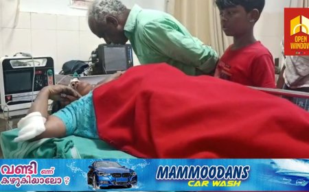 മൂന്നാറിൽ കാട്ടാന ആക്രമണത്തിൽ തോട്ടം തൊഴിലാളിയായ സ്ത്രീക്ക് പരിക്ക്;മൂന്നാർ നല്ലതണ്ണി കല്ലാർ എസ്റ്റേറ്റ് ഫാക്ടറി ഡിവിഷനിൽ ആണ് സംഭവം