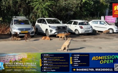 മൂന്നാര്‍ ടൗണിലും പരിസരപ്രദേശങ്ങളിലും തെരുവ് നായ ശല്യം രൂക്ഷം