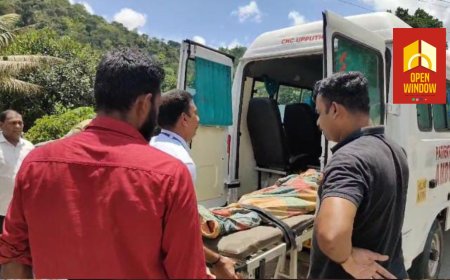 അയ്യപ്പൻകോവിൽ ആലടിയിൽ യുവാവ് മുങ്ങി മരിച്ചു