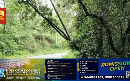 തൊടുപുഴ -പുളിയന്മല സംസ്ഥാനപാതയിൽ അപകടകരമായ വൃക്ഷങ്ങൾ ഭീഷണിയുയർത്തുന്നു