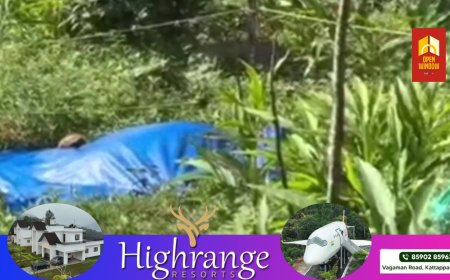 വണ്ടിപെരിയാർ ഗ്രാമ്പിക്ക് സമീപം രാജമുടിയിൽ കടുവയുടെ ജഡം കണ്ടെത്തി