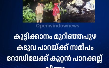 കുട്ടിക്കാനം മുറിഞ്ഞപുഴ കടുവ പാറയ്ക്ക് സമീപം റോഡിലേക്ക് കൂറ്റൻ പാറക്കല്ല് വീണു