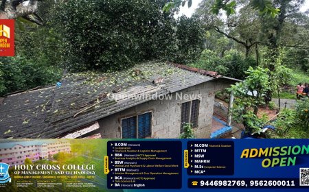 രാജകുമാരിയിൽ വീടിന് മുകളിലേക്ക് മരം വീണു