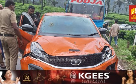 ഇടുക്കി പൂപ്പാറയിൽ ഓടിക്കൊണ്ടിരുന്ന വാഹനത്തിനു മുകളിലേക്ക് മരം വീണു