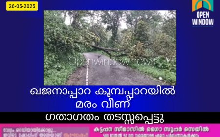 ഖജനാപ്പാറ കൂമ്പപ്പാറയില്‍ മരം വീണ് ഗതാഗതം തടസ്സപ്പെട്ടു