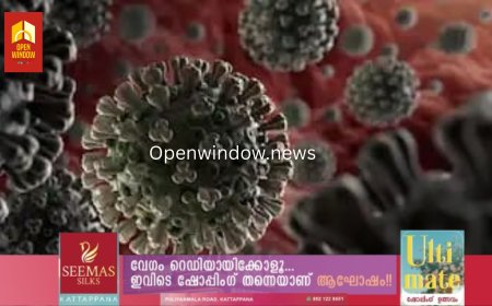 കൊവിഡ്  കേസുകളുടെ വർദ്ധനവിൽ ആശങ്കപ്പെടേണ്ടെന്ന് കേന്ദ്രം