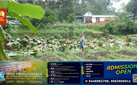 കാലവർഷ മഴയില്‍ ഹൈറേഞ്ചിൽ  വ്യാപക കൃഷി നാശം