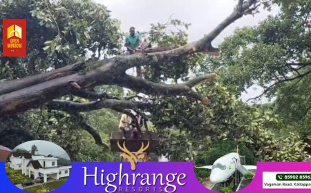 കുമളിയിൽ നിർത്തിയിട്ടിരുന്ന ലോറിക്കും ബസിനും മുകളിലേക്ക് മരം ഒടിഞ്ഞു വീണ് ഒരാൾ മരിച്ചു