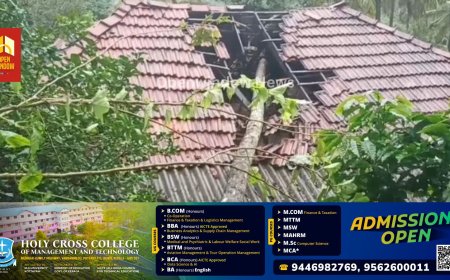 ഇടുക്കി മുള്ളരികുടിയിൽ 
അങ്കണവാടി  കെട്ടിടത്തിനു മുകളിൽ തെങ്ങ് കടപുഴകി വീണു