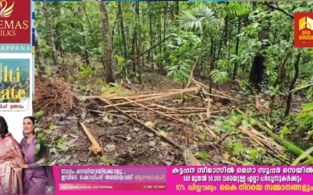 ശക്തമായ മഴയിലും കാറ്റിലും വലയുമ്പോഴും കാട്ടാന ഭീതിയിൽ പീരുമേട് പ്ലാക്കത്തടം ഗോത്ര വർഗ്ഗ കോളനി