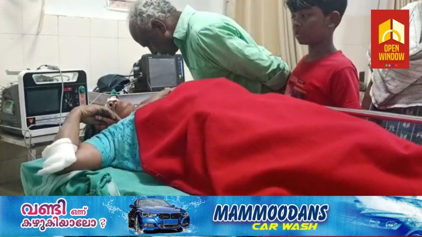 മൂന്നാറിൽ കാട്ടാന ആക്രമണത്തിൽ തോട്ടം തൊഴിലാളിയായ സ്ത്രീക്ക് പരിക്ക്;മൂന്നാർ നല്ലതണ്ണി കല്ലാർ എസ്റ്റേറ്റ് ഫാക്ടറി ഡിവിഷനിൽ ആണ് സംഭവം