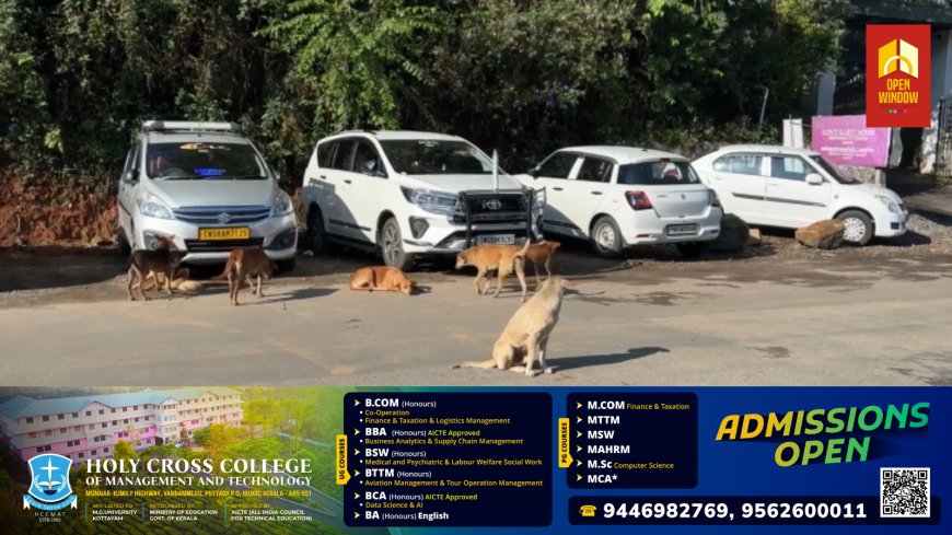 തലസ്ഥാനമാണ് മുന്നിൽ, ഈ വർഷം പട്ടികടിയേറ്റത് 15,718 പേർക്ക്! കൊല്ലത്ത് 12,654, പേടിപ്പിക്കുന്ന കണക്ക്!