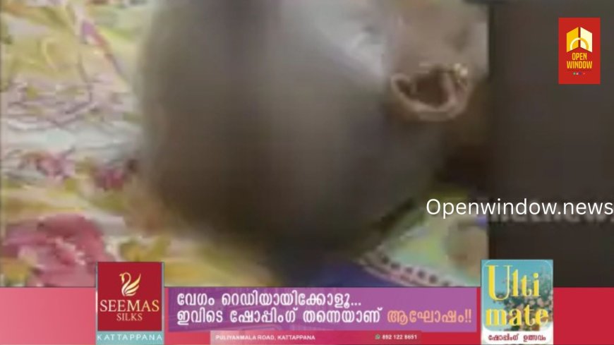 കണ്ണൂരിൽ 88കാരിയോട് പേരക്കുട്ടിയുടെ കൊടുംക്രൂരത, തലയ്ക്ക് ക്ഷതം; പരാതി നൽകിയത് ഹോംനഴ്സ്