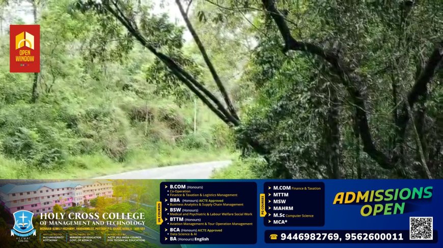 തൊടുപുഴ -പുളിയന്മല സംസ്ഥാനപാതയിൽ അപകടകരമായ വൃക്ഷങ്ങൾ ഭീഷണിയുയർത്തുന്നു