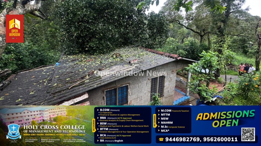 രാജകുമാരിയിൽ വീടിന് മുകളിലേക്ക് മരം വീണു