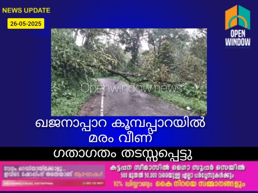 ഖജനാപ്പാറ കൂമ്പപ്പാറയില്‍ മരം വീണ് ഗതാഗതം തടസ്സപ്പെട്ടു
