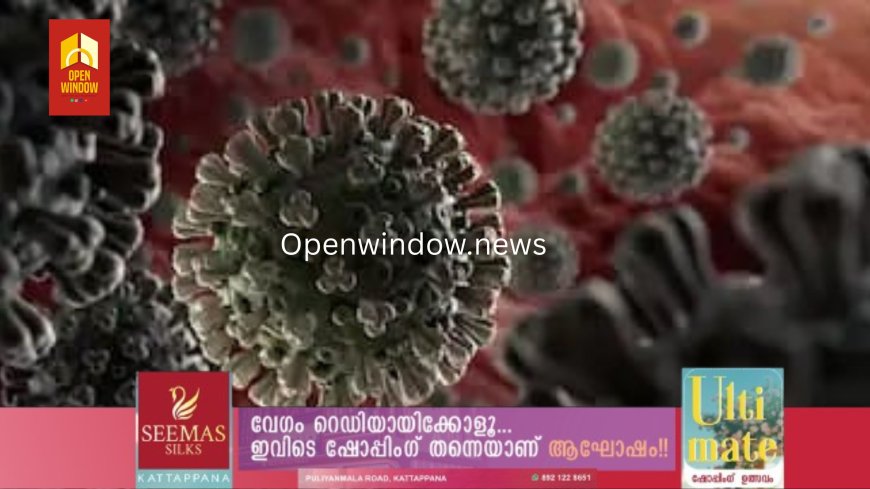 കൊവിഡ്  കേസുകളുടെ വർദ്ധനവിൽ ആശങ്കപ്പെടേണ്ടെന്ന് കേന്ദ്രം