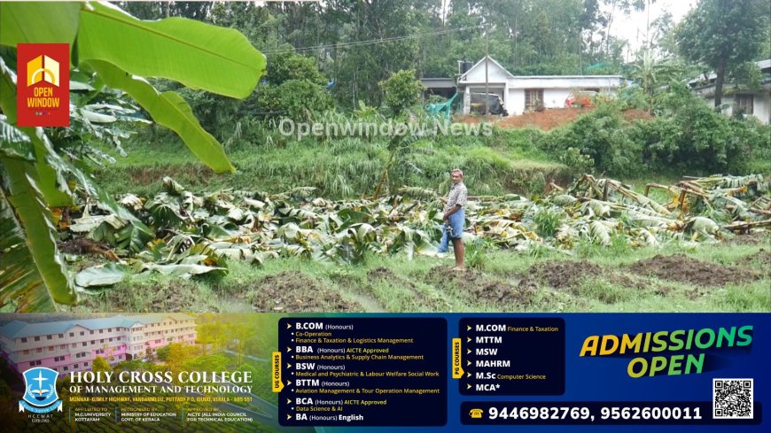 കാലവർഷ മഴയില് ഹൈറേഞ്ചിൽ വ്യാപക കൃഷി നാശം