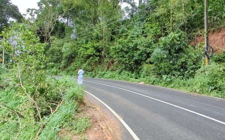 അടിമാലി കുമളി  ദേശീയപാതയുടെ ഭാഗമായ  കട്ടപ്പന ചെറുതോണി റോഡിൽ കണക്കാലിപടിയയിൽ   റോഡ്  അപകടാവസ്ഥയിൽ