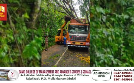 അടിമാലി-കുമളി ദേശീയപാതയിൽ ഓടിക്കൊണ്ടിരുന്ന ലോറിക്ക് മുകളിലേക്ക് മരം കടപുഴകി വീണു