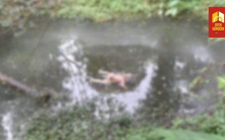 ഇടുക്കി ഉടുമ്പൻചോലയിൽ  കുളത്തിൽ സ്ത്രീയുടെ മൃതദേഹം അഴുകിയ നിലയിൽ കണ്ടെത്തി