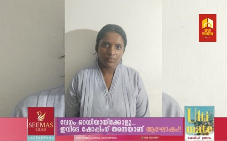 വിദേശത്ത് വിസ വാഗ്ദാനം ചെയ്ത് തട്ടിപ്പ് നടത്തിയ യുവതി പിടിയിൽ