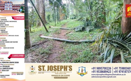 കാഞ്ചിയാർ അഞ്ചുരുളി ആദിവാസി കുടിയിൽ കാട്ടാന ആക്രമണം പതിവാകുന്നു