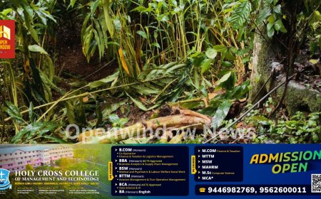 ഇടുക്കി കോഴിമലയ്ക്കും മുരിക്കാട്ട്കുടിക്കും മദ്ധ്യേ തുളസിപ്പടിയിൽ കാട്ടാന എത്തി; വ്യാപക കൃഷി നാശം