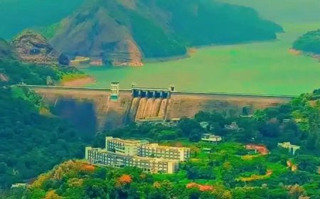 ചെറുതോണിഡാം, ആര്‍ച്ച്‌ ഡാം, ഇടുക്കി മെഡിക്കല്‍കോളേജ് എന്നിവ ഒറ്റഫ്രെയിമില്‍ കാണാവുന്ന, ഇൻസ്റ്റഗ്രാം റീല്‍സിലൂടെ പ്രശസ്തമായ ലൊക്കേഷനില്‍ സഞ്ചാരികള്‍ക്ക് വിലക്ക്