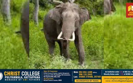 പീരുമേട്ടിൽ കാട്ടാന അക്രമത്തിൽ മരിച്ച സീതയുടെ കുടുംബത്തിന് 12 ലക്ഷം രൂപ വനം വകുപ്പ് കൈമാറും
ആദ്യഘട്ടമായി ഇന്ന് 5 ലക്ഷം രൂപ നൽകും