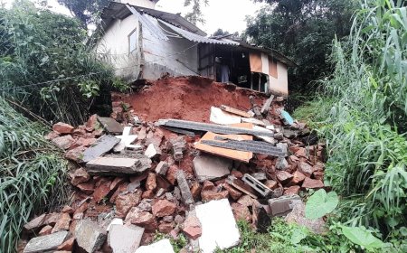 ശക്തമായ മഴയിൽ ഉപ്പുതറ പഞ്ചായത്ത് പശുപ്പാറ ലക്ഷം വീട് കോളനിക്ക് സമീപം വീട് തകർന്നു. റിച്ചു ഹൗസിൽ കെ സി വിജയൻ്റെ വീടാണ് തകർന്ന് വാസയോഗ്യമല്ലാതായത്