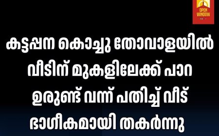 കട്ടപ്പന കൊച്ചു തോവാളയിൽ വീടിന് മുകളിലേക്ക് പാറ ഉരുണ്ട് വന്ന് പതിച്ച്‌ വീട് ഭാഗീകമായി തകർന്നു