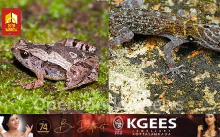 പെരിയാർ കടുവ സങ്കേതത്തിൽ ഉഭയ-ഉരഗജീവി സർവ്വേ പൂർത്തിയായി