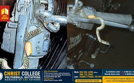 നേര്യമംഗലത്ത് ഉഗ്രവിഷമുള്ള പാമ്പ് ബൈക്കിൽ കയറിക്കൂടിയതറിയാതെ യാത്ര ചെയ്ത യുവാവും കുടുബവും കടിയേൽക്കാതെ രക്ഷപെട്ടത് തലനാരിഴക്ക്