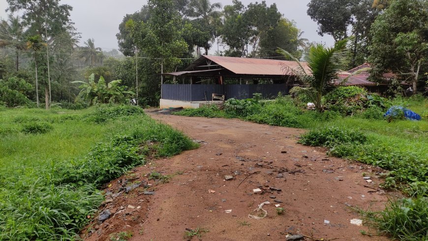 ഇരട്ടയാർ ശാന്തിഗ്രാം  എസ്എൻഡിപി തൊട്ടിയിൽപ്പടി റോഡ് നിർമ്മാണം ഗ്രാമപഞ്ചായത്തിന്റെ ഉദാസീനത മൂലം തടസ്സപ്പെട്ടു കിടക്കുകയാണെന്ന് ആരോപണവുമായി കോൺഗ്രസ് ഇരട്ടയാർ മണ്ഡലം കമ്മിറ്റി രംഗത്ത്
