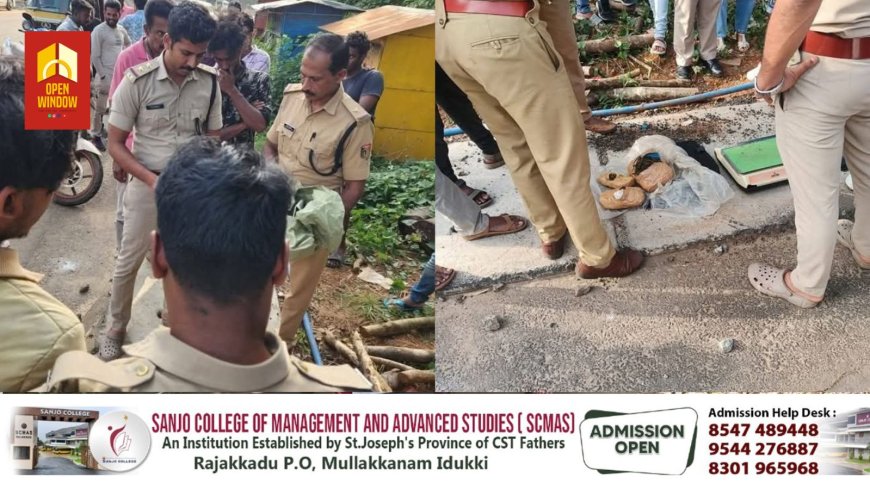 അടിമാലിയിൽ സ്വകാര്യ ബസിൽ കടത്താൻ ശ്രമിച്ച കഞ്ചാവുമായി യുവാക്കൾ പിടിയിൽ