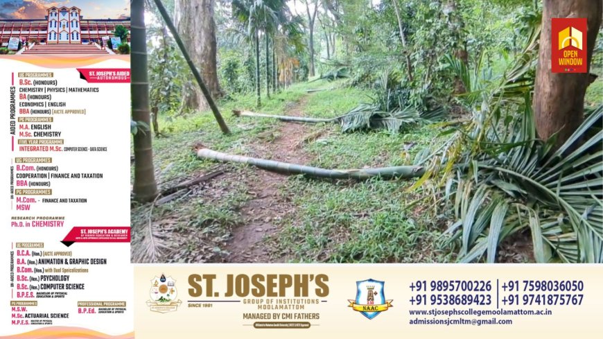 കാഞ്ചിയാർ അഞ്ചുരുളി ആദിവാസി കുടിയിൽ കാട്ടാന ആക്രമണം പതിവാകുന്നു