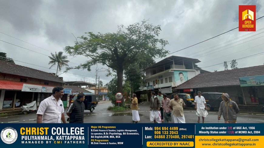 കട്ടപ്പന വള്ളക്കടവ് സിറ്റിയിൽ നിൽക്കുന്ന തണൽമരം അപകട ഭീഷണി ഉയർത്തുന്നു എന്ന് പരാതി