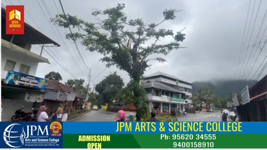 കട്ടപ്പന വള്ളക്കടവിൽ അപകട ഭീഷണി ഉയർത്തി നിന്ന വാഗമരം നാട്ടുകാരുടെ നേതൃത്വത്തിൽ വെട്ടി മാറ്റി